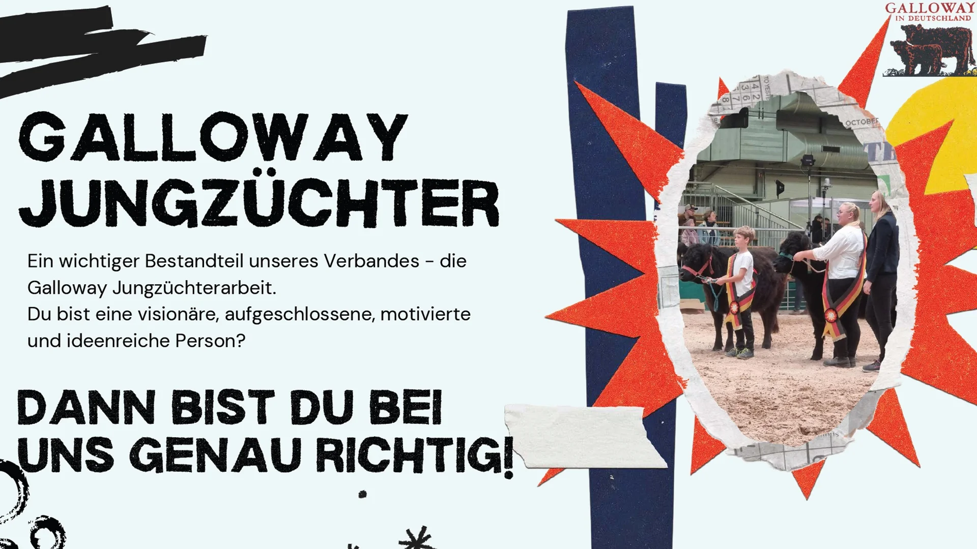 Galloway Jungzüchter? Dann bist Du bei uns genau richtig! Galloway Jungzüchter? Dann bist Du bei uns genau richtig!