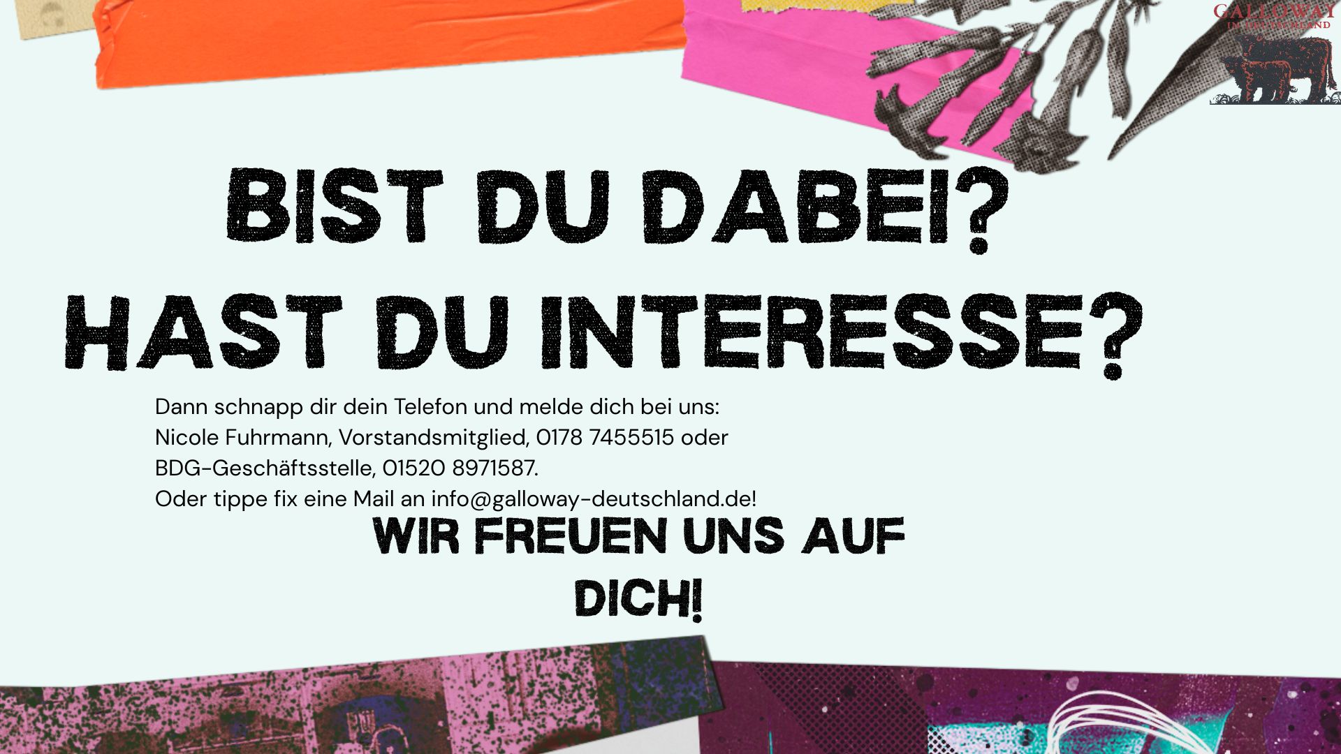 Bist Du dabei? Hast Du Interesse? Bist Du dabei? Hast Du Interesse?